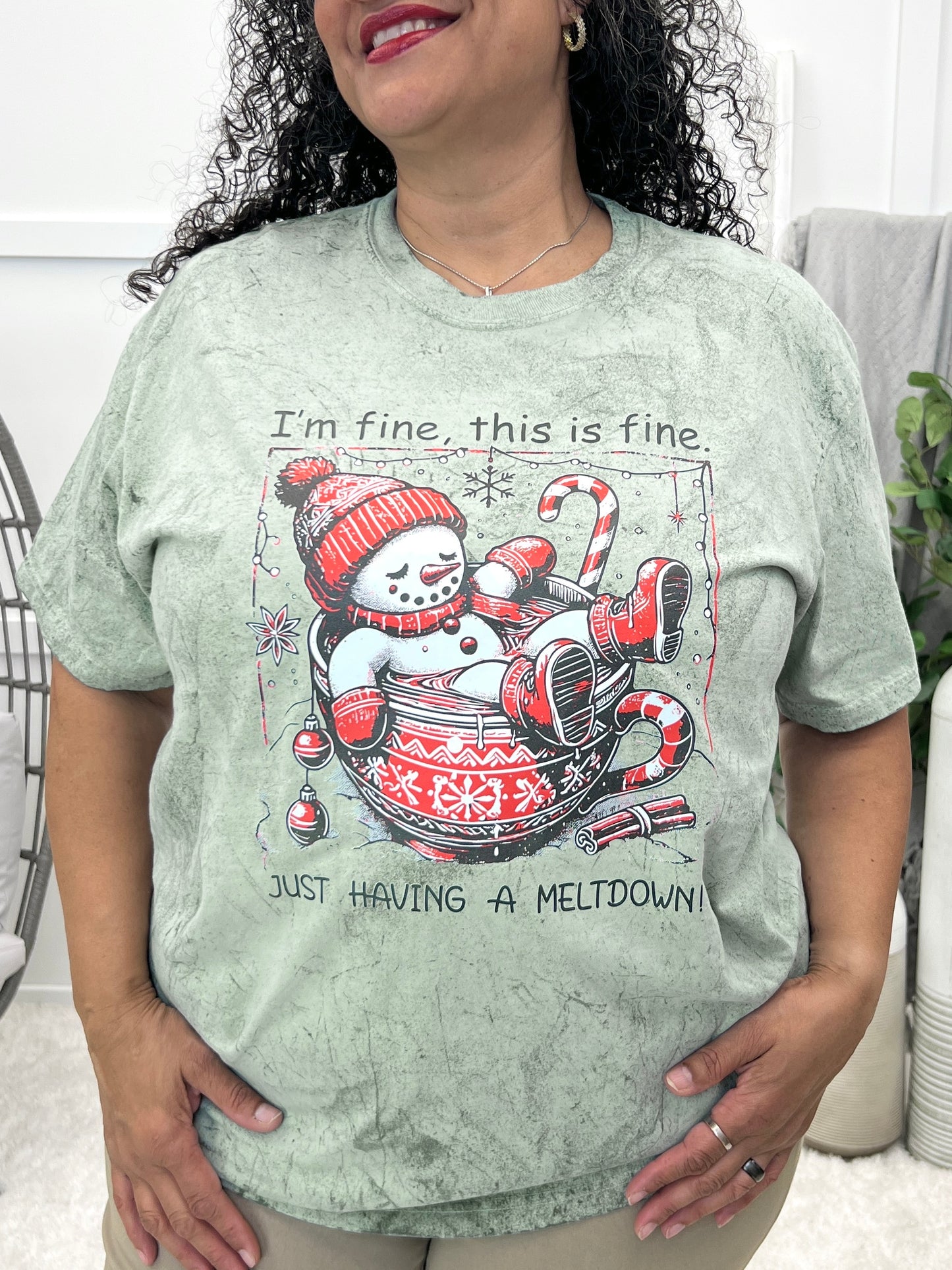 I'm Fine, This Is Fine. Just Having A Meltdown Graphic Tee
