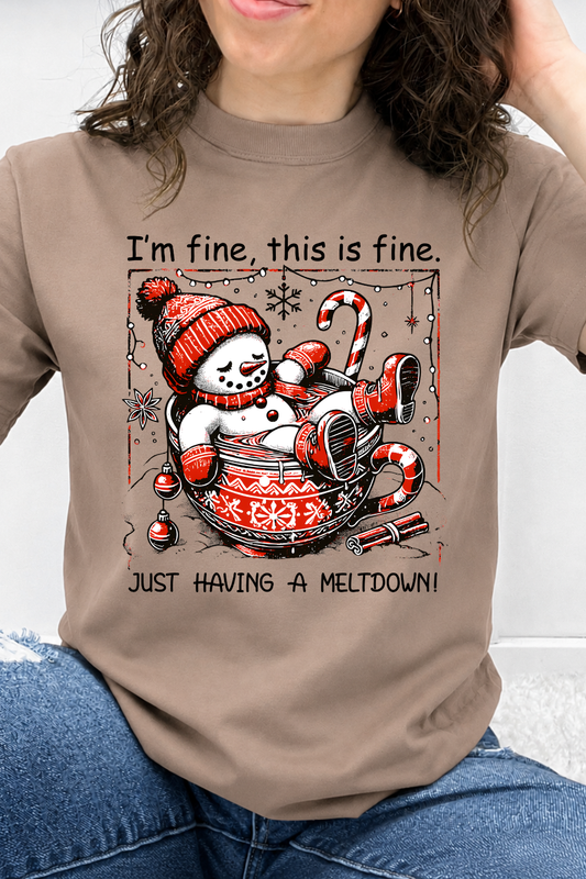 I'm Fine... Just Having a Meltdown Graphic Collection