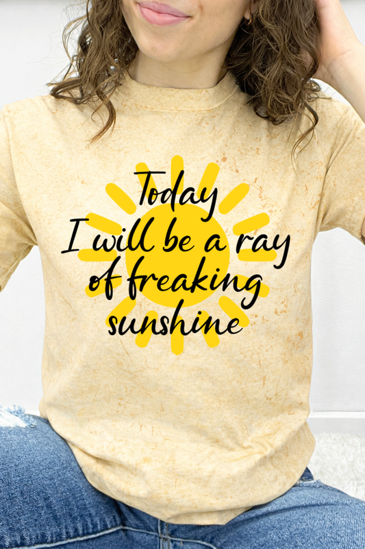 Today I Will Be A Ray Of Freaking Sunshine Graphic Collection