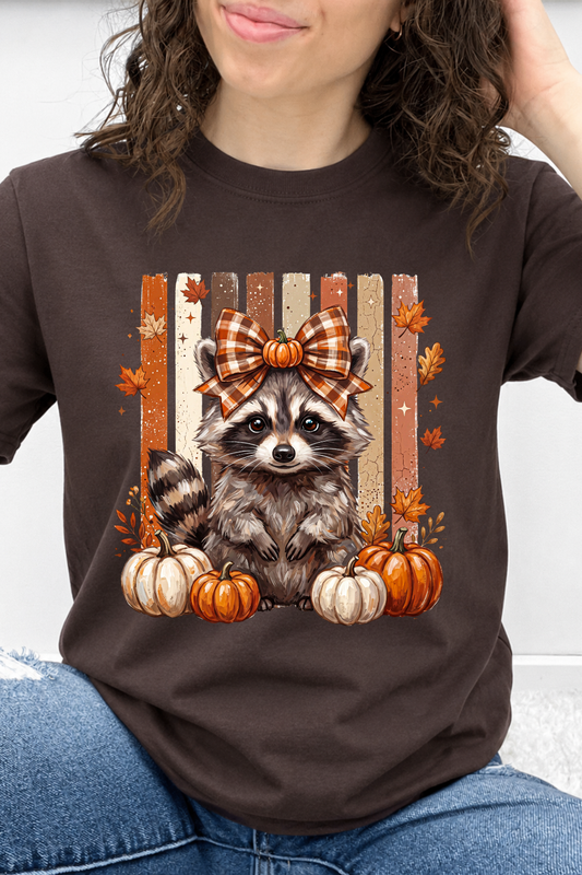 Raccoon Fall Graphic Collection