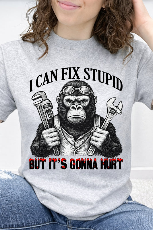 I Can Fix Stupid, But It's Gonna Hurt - Gorilla Graphic Collection