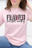 Flawed But Still Worthy Graphic Collection