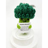 Positive Veggie and Plant Crochet Keychain