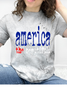 America The Beautiful Graphic Collection