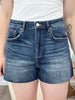 Sandra Super High Rise Shorts