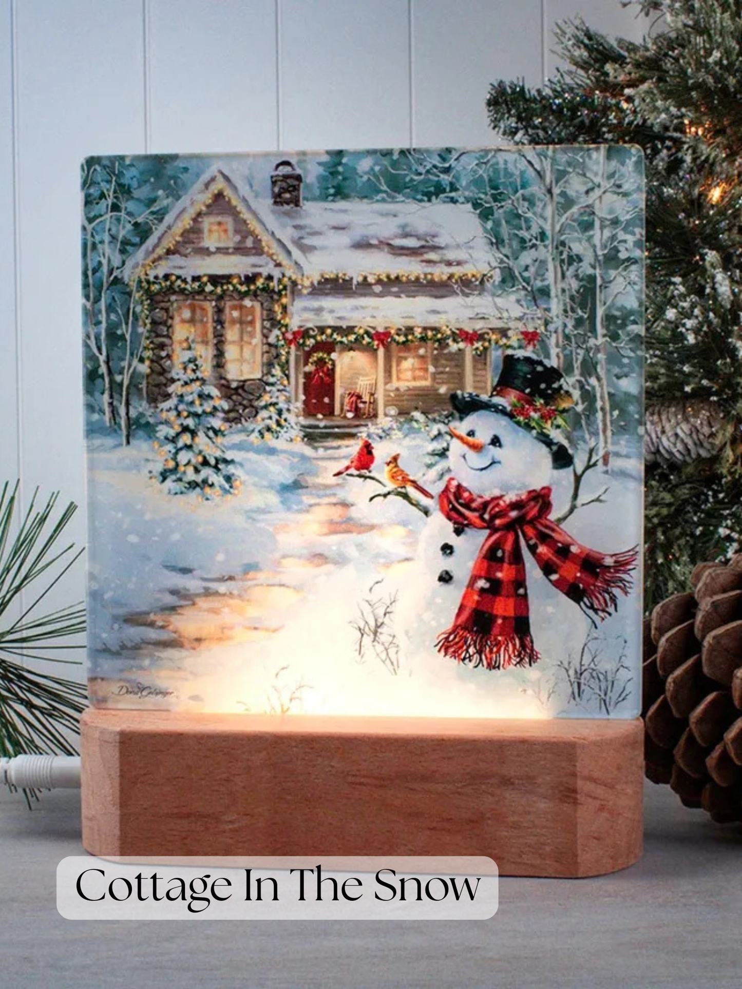 LED Nightlight