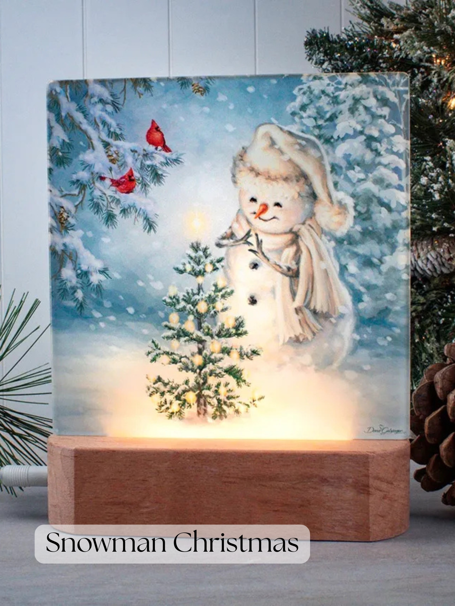 LED Nightlight