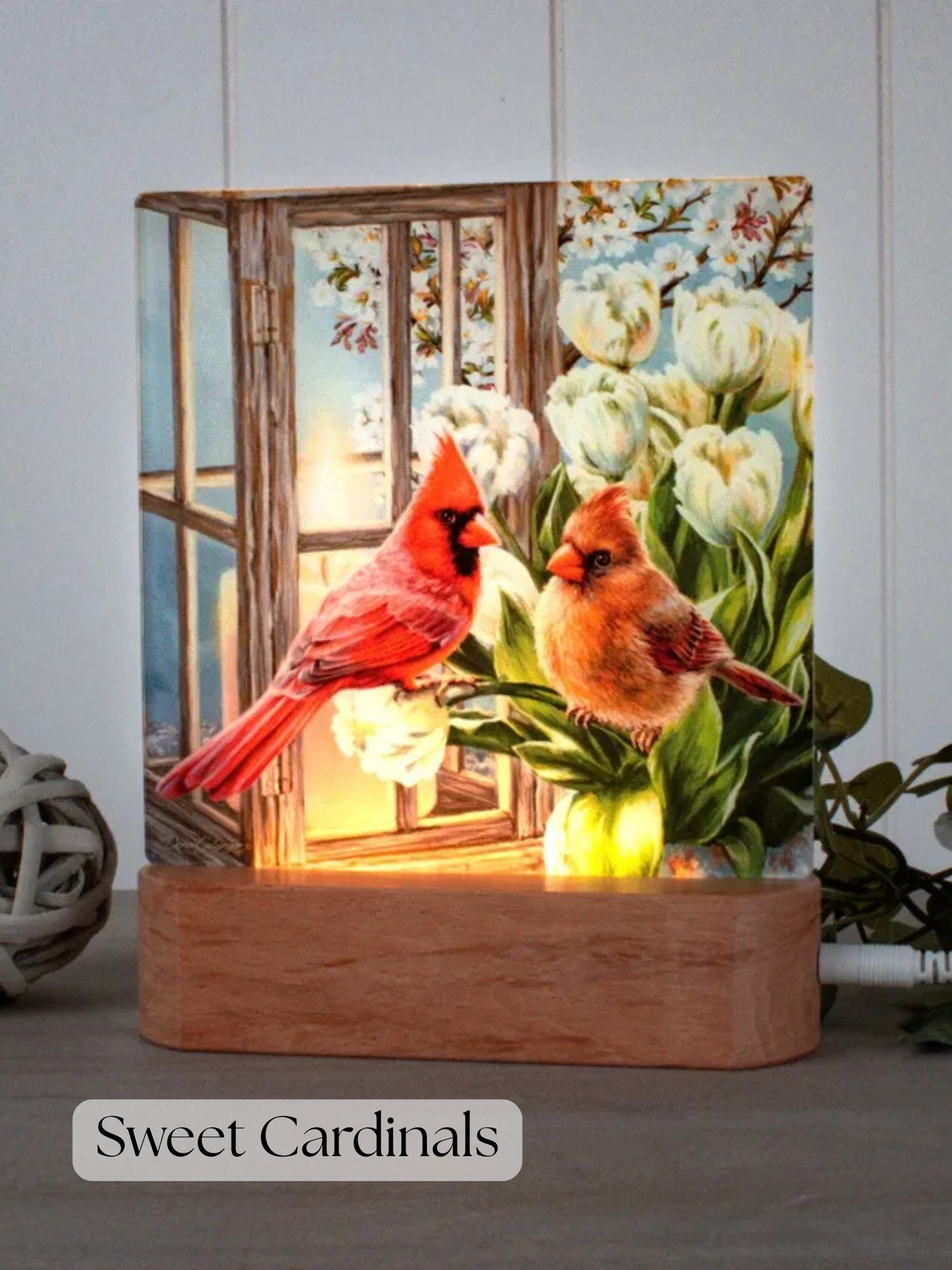 LED Nightlight