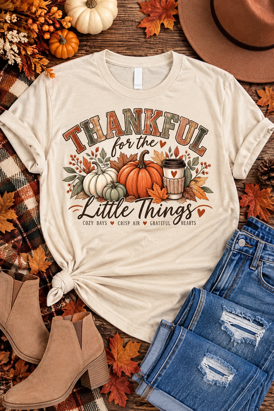 "Thankful for the Little Things" Graphic Tee