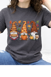 Charcoal Comfort Colors Tee