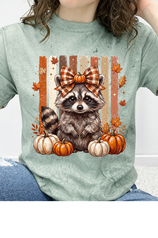 Raccoon Fall Graphic Collection
