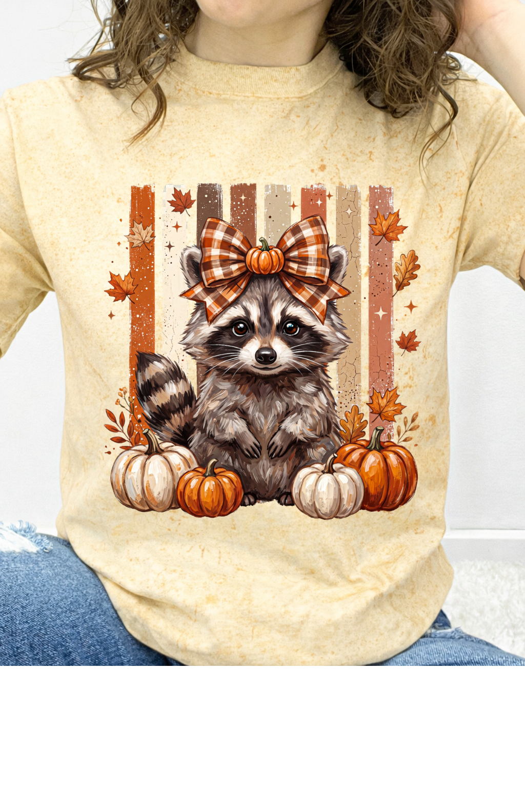 Raccoon Fall Graphic Collection