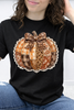 Heirloom Painted Pumpkin Graphic Collection