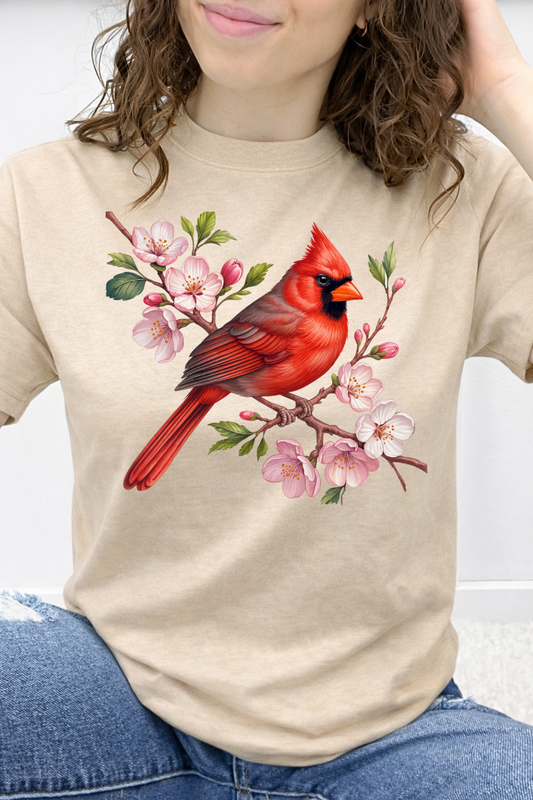 Cardinal Bloom Graphic Collection