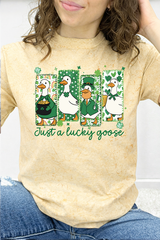 Saint Patrick's Day Lucky Goose Graphic Collection