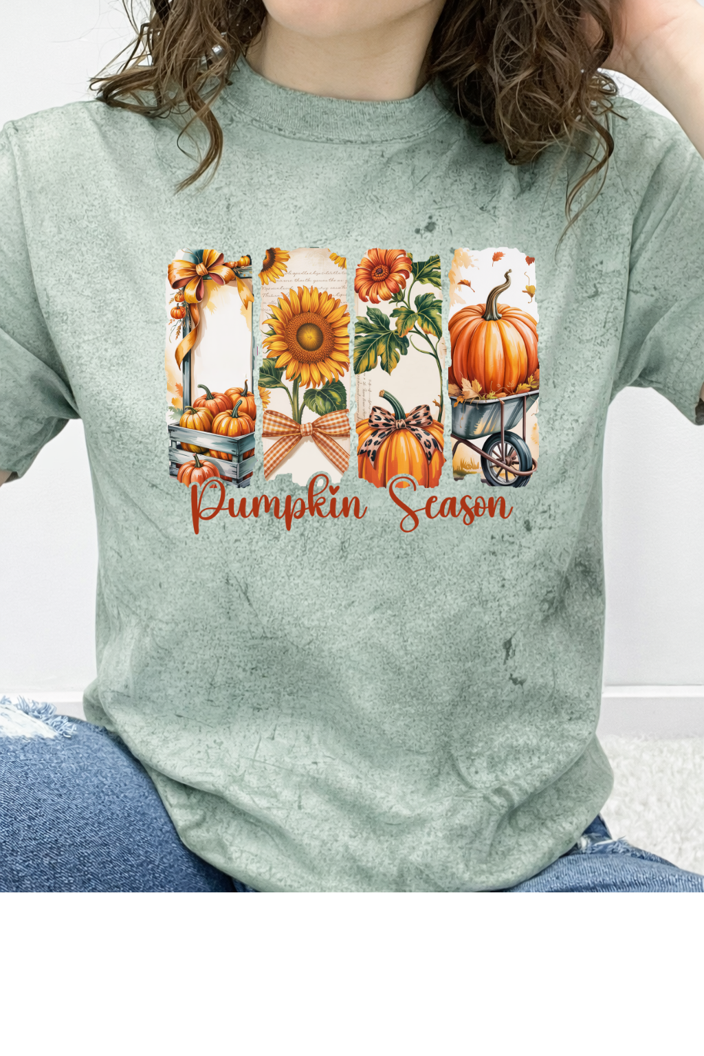 Pumpkin Season Graphic Collection