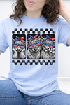 Light Blue Comfort Colors Tee