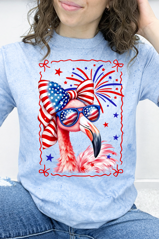 Star-Spangled Flamingo Graphic Collection