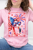 Star-Spangled Flamingo Graphic Collection