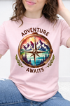 Pink Tultex Tee
