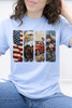 Vintage Patriotic Panels Graphic Collection