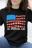All American Girl Graphic Collection